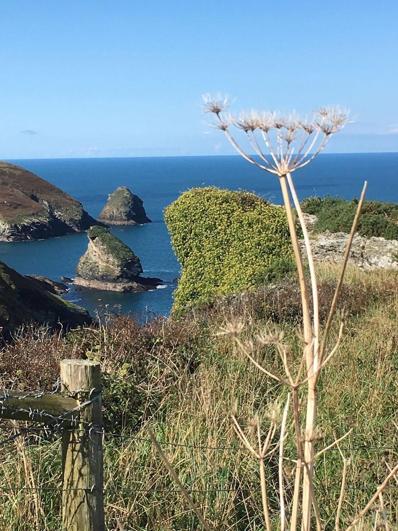 The Old Parsonage Bed and Breakfast Boscastle Exterior foto
